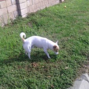 Meet your Posher, Sergio